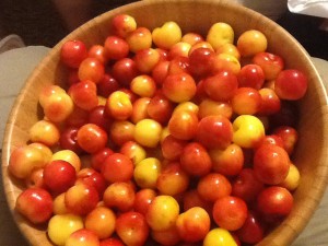 Rainier Cherries